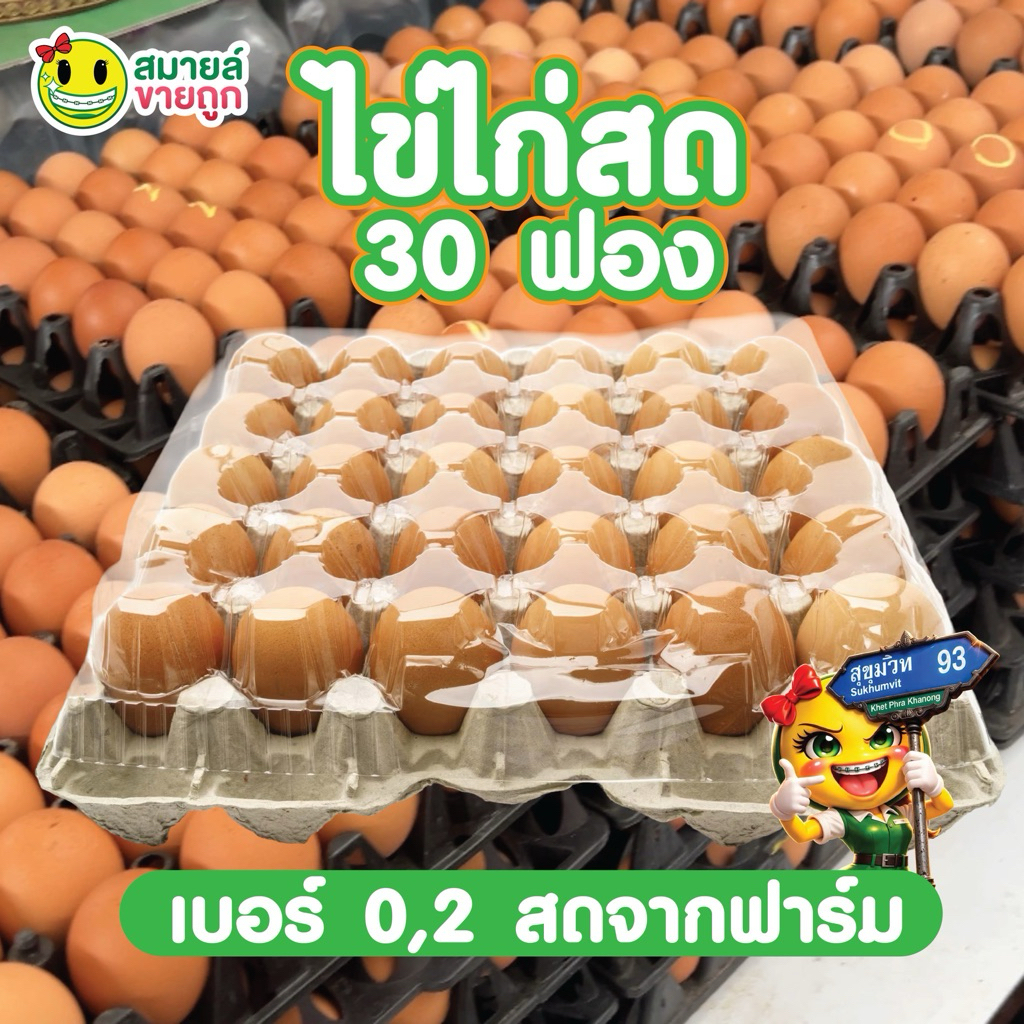 [ส่งด่วน 2 ชม.] สมายล์ ไข่ไก่ เบอร์ 0-2 แพ็ก 10  , 30 ฟอง
