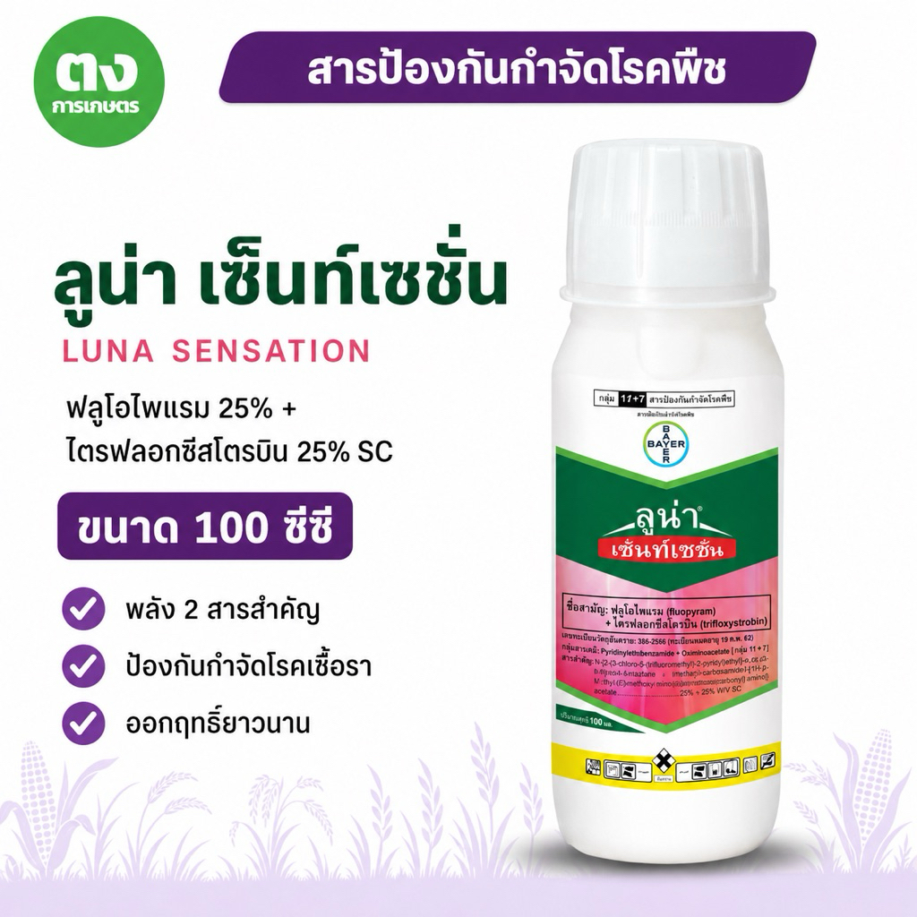 ลูน่า เซ้นท์เซชั่น ไบเออร์ 100 ซีซี ฟลูโอไพแรม+ไตรฟลอกซีสโตรบิน 25%+25% SC ยาป้องกันเชื้อรา แอนแทรคโนส ราแป้ง ใบจุด