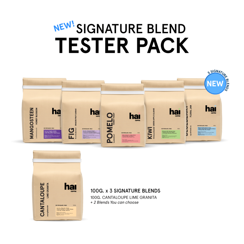 Hai Coffee New Signature Blend Tester Pack 300g. [สามารถคละสินค้าได้ Cantaloupe + ____ + ____]