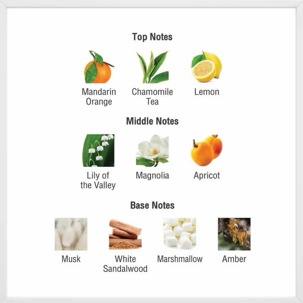 หอมมาก กลิ่นใหม่🪽 scent studio น้ำหอมแบ่งขาย 22.Marshmallow
