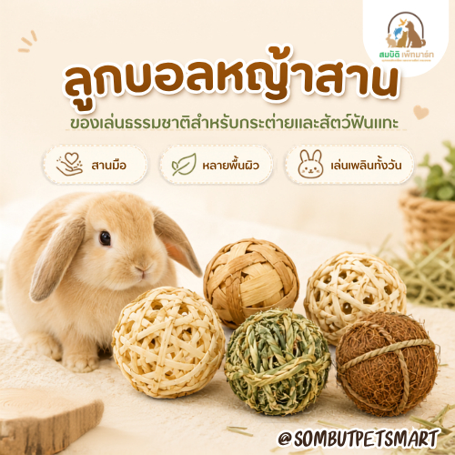 ลูกบอลสานธรรมชาติ ของเล่นลับฟัน กระต่าย แฮมสเตอร์ ชินชิล่า หนูตะเภา เล่นแทะได้