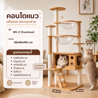 [พร้อมส่ง] Bratvee คอนโดแมว คอนโดไม้ มีหลุมใส เสาลับเล็บ เฟอร์นิเจอร์สัตว์เลี้ยง สูงถึง 200 cm