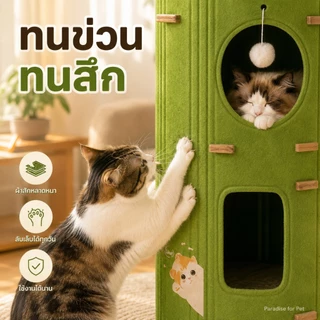 😺บ้านแมว คอนโดแมว บ้านมีรู 2ชั้น 3ชั้น คอนโดแมวทรงกระบอกดีไซน์ญี่ปุ่น แข็งแรงทนทาน สามารถปีนได้