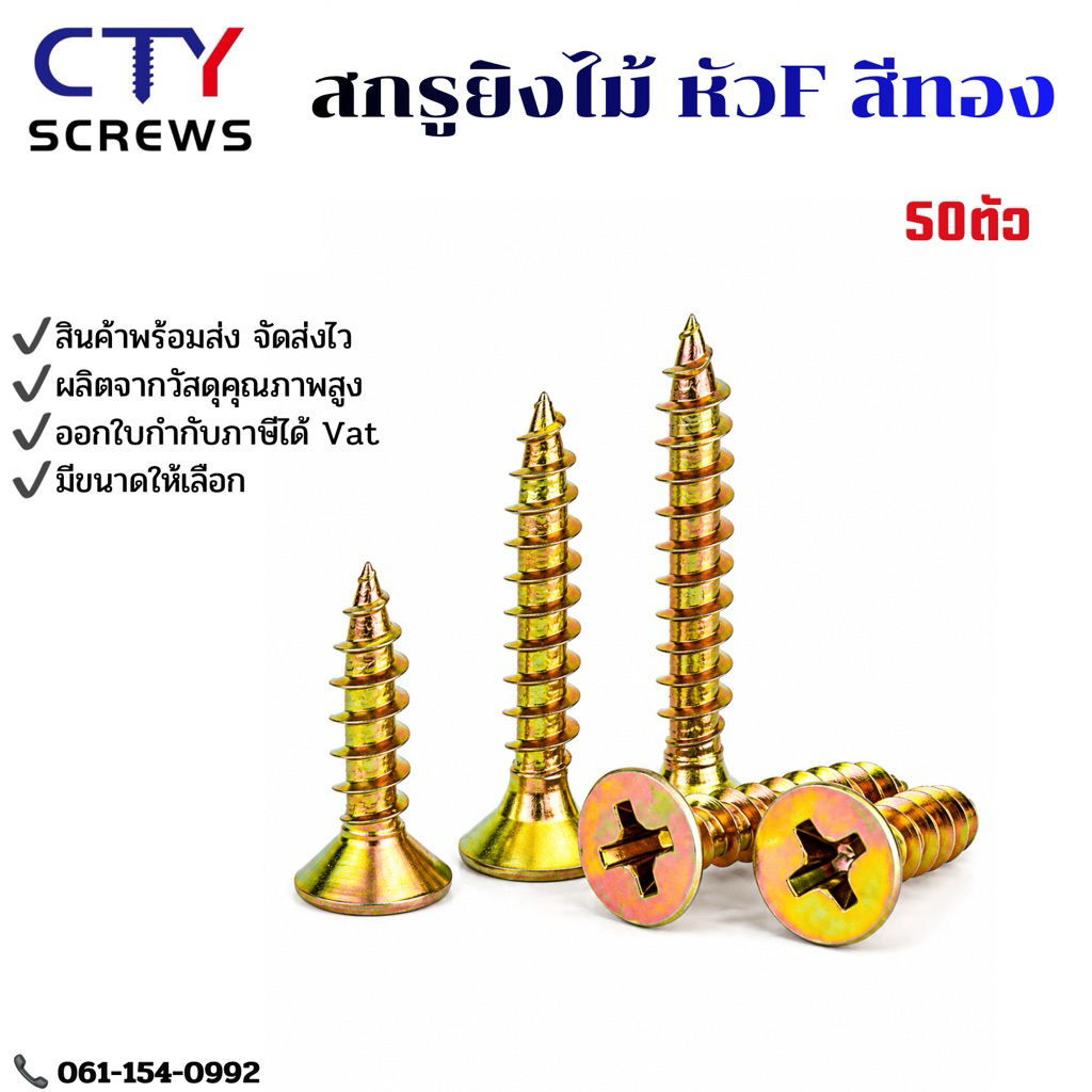 สกรูเกลียวเหล็ก หัวF สกรู (QWB) สกรูเกลียวปล่อย สกรูปลายแหลม เจาะง่าย 1000ตัว