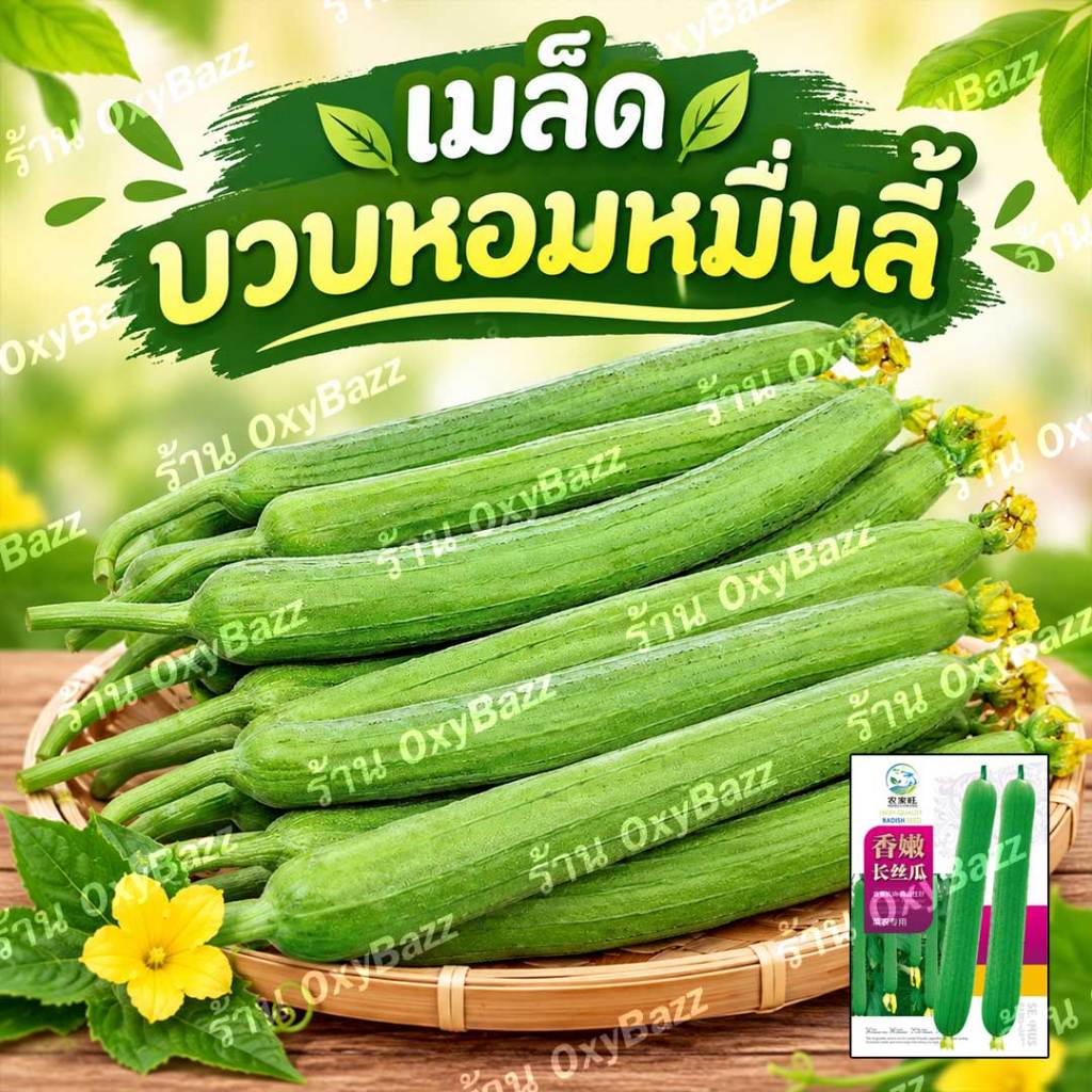 เมล็ดพันธุ์บวบหอมหมื่นลี้ 30 เมล็ด บวบหอมสายพันธุ์ใหม่ ให้ผลผลิตสูง ติดลูกดี ปลูกได้ทั้งหน้าฝนและหน้าแล้ง