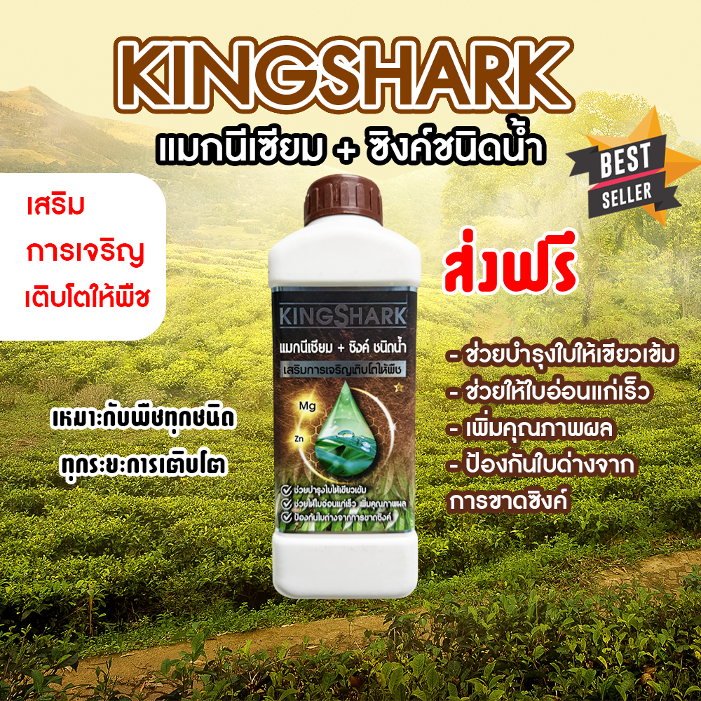 KingShark แมกนีเซียม + ซิงค์ ( สังกะสี ) ชนิดน้ำ เสริมการเจริญเติบโตให้พืช ( KS1 )