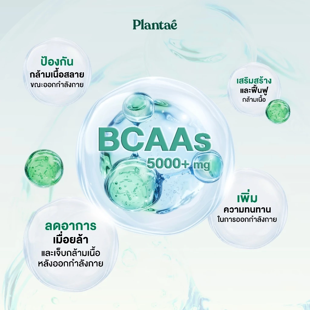 [ตะกร้าโปรเปิดตัววันที่ 24 ส.ค.] Plantae NEX Protein โปรตีนคุณภาพสูตรใหม่ เปิดตัวที่แรก ยกระดับโปรตีนพืชให้ดีกว่าเดิม thumbnail 6