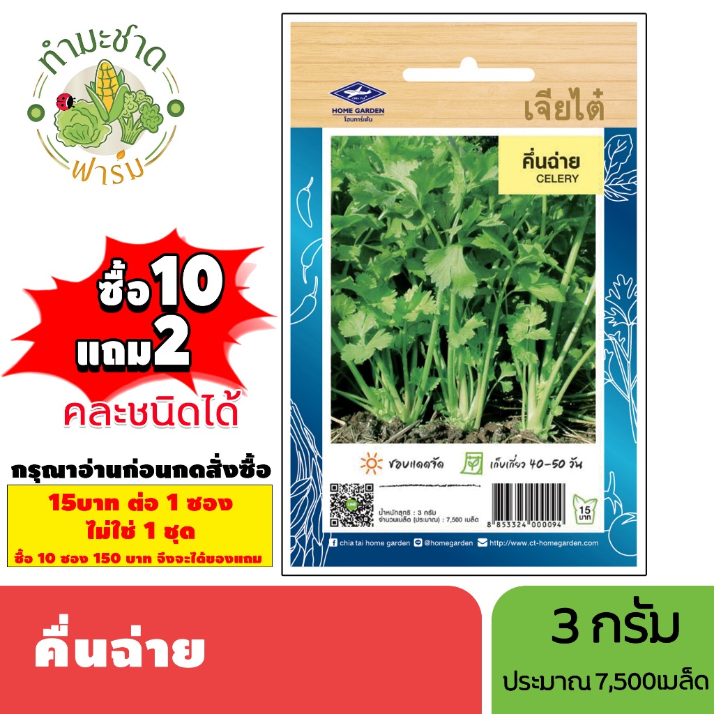 [1ซอง] เจียไต๋ (ซื้อ10แถม2) เมล็ดพันธุ์ คึ่นฉ่าย ขนาด3กรัม ประมาณ7,500เมล็ด Celery ขึ้นฉ่าย คึ่นช่าย ขึ้นช่าย คื่นฉ่าย