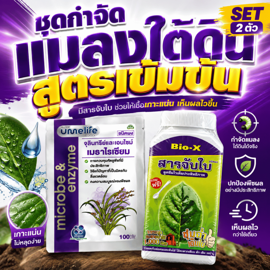 SET เมธาไรเซียม + สารจับใบ Bio-X กำจัดแมลงใต้ดิน เห็นผลไว เกาะใบแน่น สูตรเข้มข้น ปลอดภัยต่อพืช
