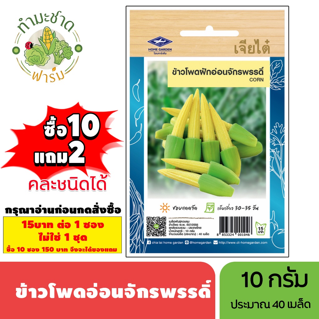 [1ซอง] เจียไต๋ (ซื้อ10แถม2) เมล็ดพันธุ์ ข้าวโพดฝักอ่อนจักรพรรดิ์ ขนาด10กรัม ประมาณ40เมล็ด Baby Corn ข้าวโพดอ่อน เมล็ดพั