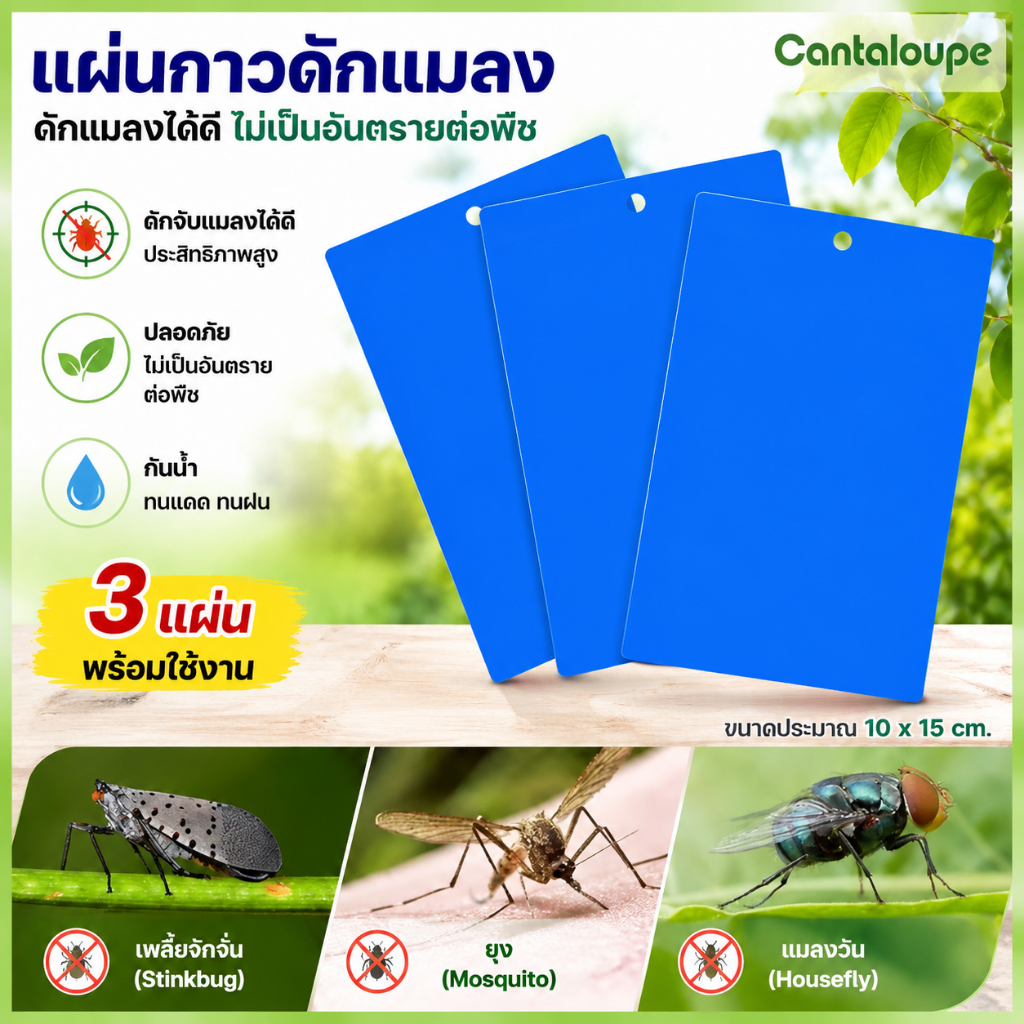 [สีน้ำเงินแผ่นดักแมลงเหนียว กันน้ำ] ไร้สารพิษ! ดักยุง/แมลงวัน/มด แพ็คละ 25/50/100 แผ่น【ส่งฟรี】