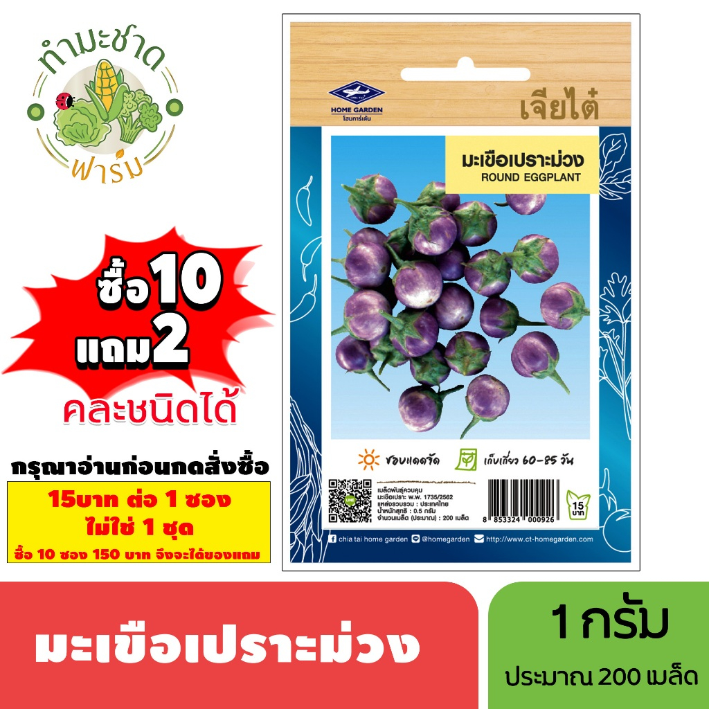 [1ซอง] เจียไต๋ (ซื้อ10แถม2) เมล็ดพันธุ์ มะเขือเปราะม่วง ขนาด1กรัม ประมาณ200เมล็ด Round Eggplant มะเขือเปราะ เมล็ดพันธุ์