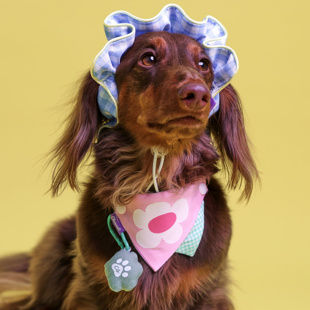 CLAWSET غطاء أذن للحيوانات Comfy Headband — صورة 4