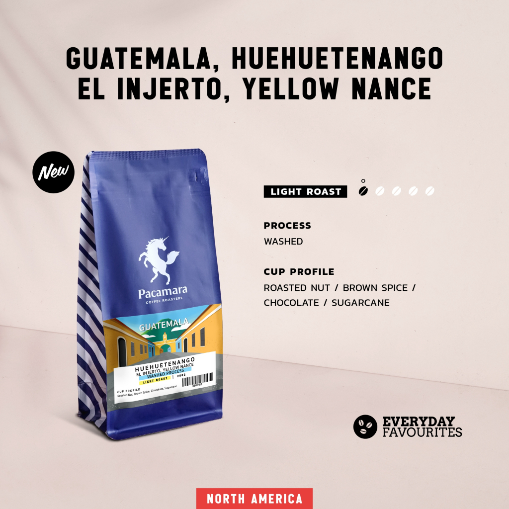 Guatemala Huehuetenango El Injerto W200g