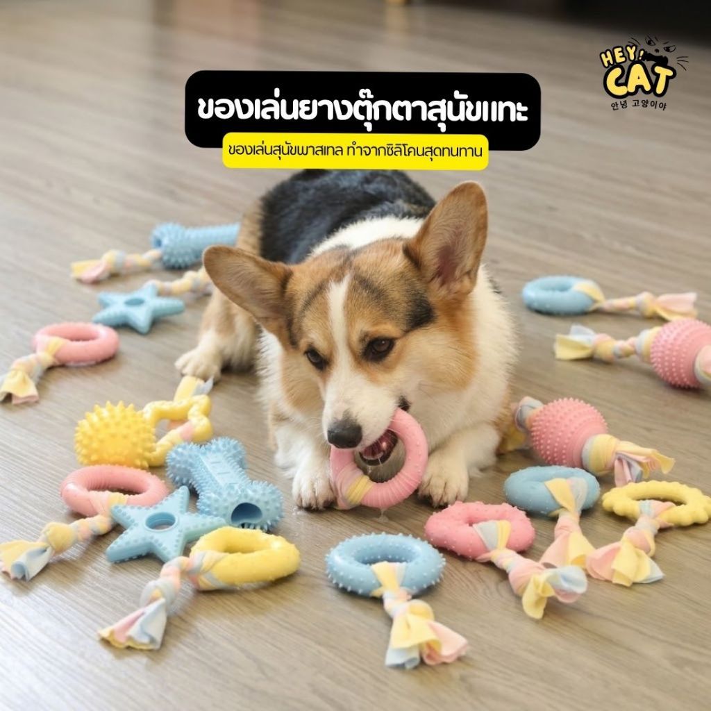 Heycat ของเล่นยางตุ๊กตาสุนัขแทะพาสเทล ของเล่นสุนัข ตุ๊กตาสุนัข ของเล่นกระดูกสุนัข ทำจากซิลิโคนทนทาน