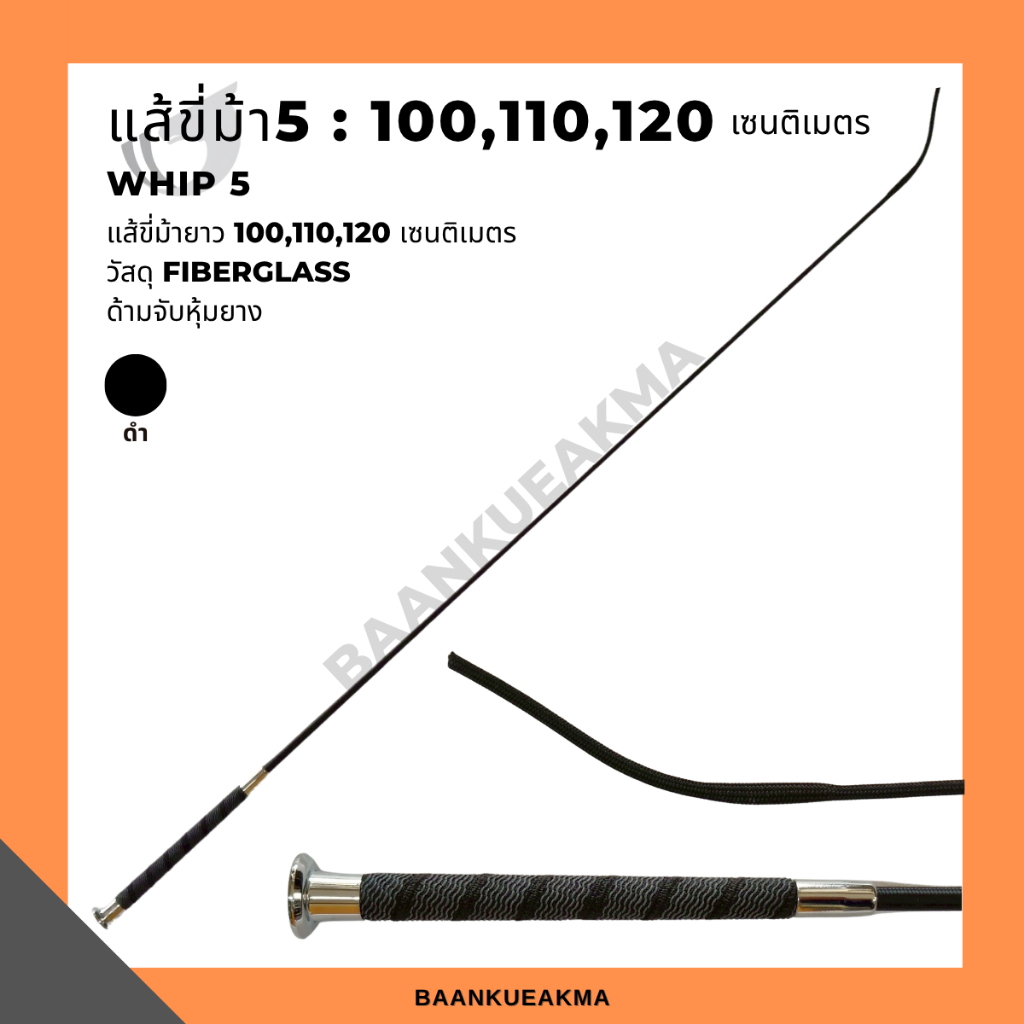 Whip5 : แส้ขี่ม้า 100cm 110cm 120cm