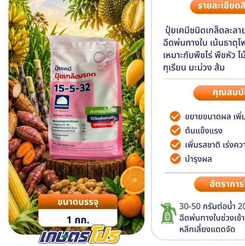 ปุ๋ยเกล็ดมรกต  15-5-32 ละลายน้ำได้ดี ฉีดพ่นทางใบ เน้นธาตูโพอแทสเซียมสูง เพิ่มขนาดผล เพิ่มน้ำหนัก  คว