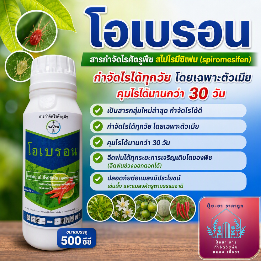 โอเบรอน ขนาด 500ซีซี สไปโรมีซิเฟน กำจัดไร คุมไรแดงได้นานกว่า30วัน