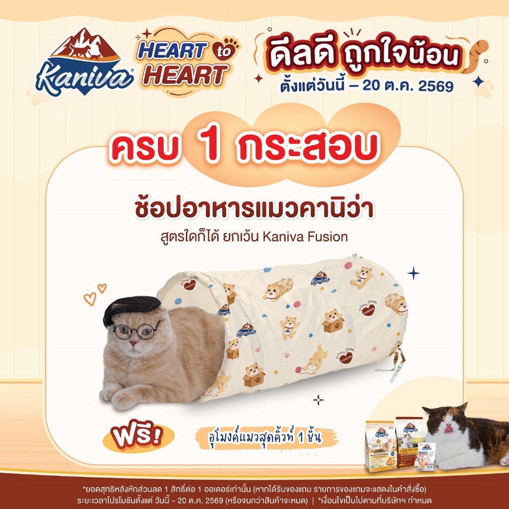 [ของแถม ไม่ใช่สินค้าสำหรับจำหน่าย] Kaniva Tunnel Cat Toy อุโมงค์แมวคานิว่า ขนาด 25 x 25 x 51 ซม.