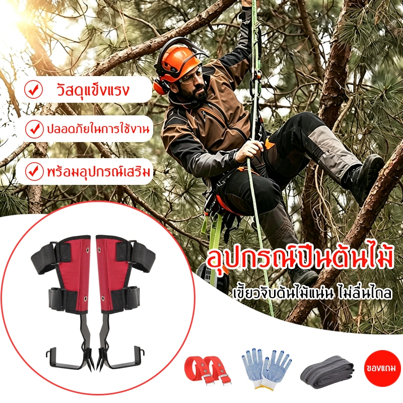อุปกรณ์ปีนต้นไม้ สแตนเลส อุปกรณ์ปีนต้นไม้เกษตร พร้อมสายรัดนิรภัย ปีนป่ายต้นไม้ สำหรับเก็บผลไม้ ตัดแต่งกิ่งไม้
