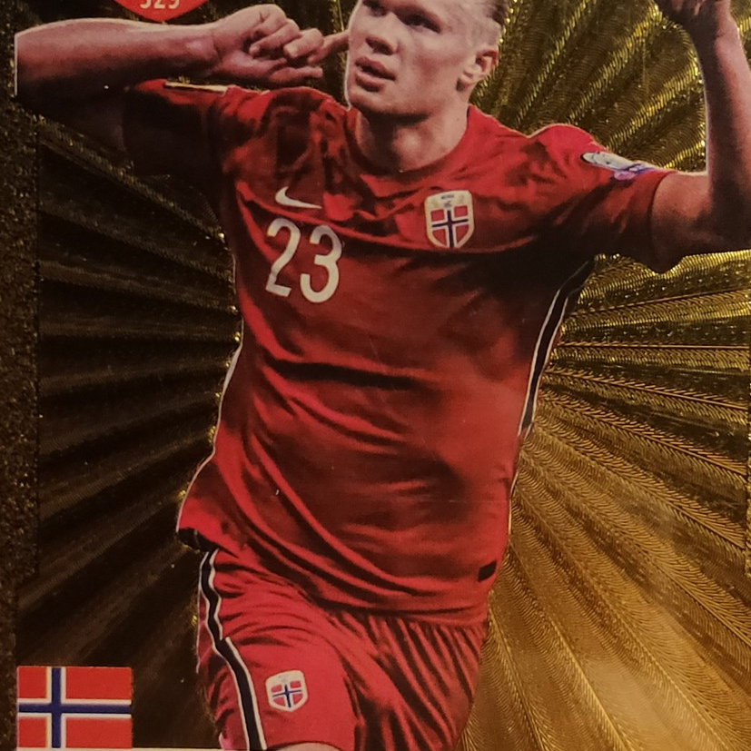 Erling Haaland World Football Stars