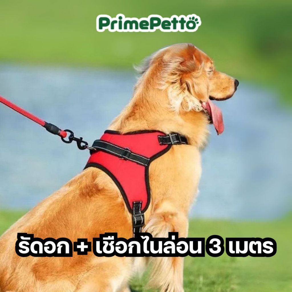 PrimePetto สายรัดอกสุนัขพร้อมเชือกจูงยาว 3 เมตร มีตัวล็อคกันกระชากหลุด ไซส์ XS-XL มีฟองน้ำรับแรงดึง