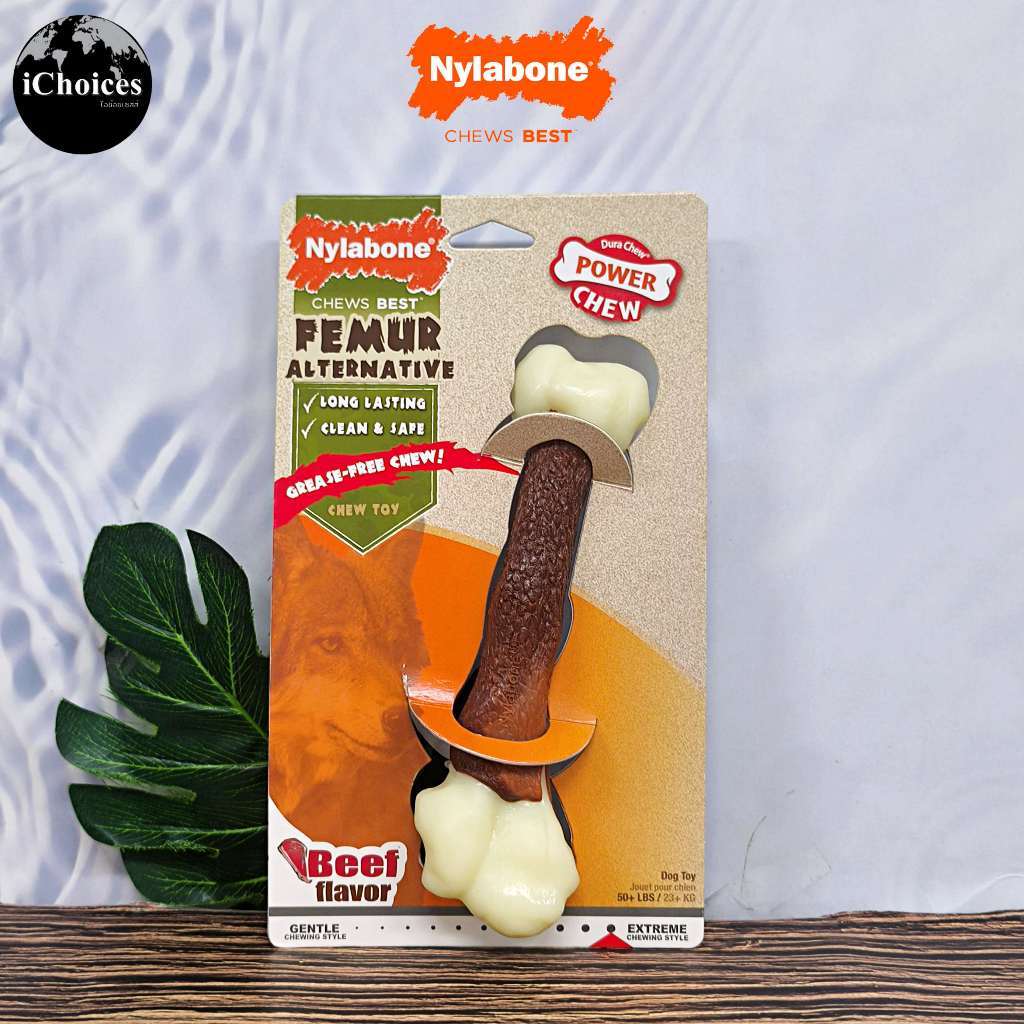 [Nylabone] Femur Alternative Bone Chew Toy Beef Flavor  ของเล่นเคี้ยว สำหรับสุนัข