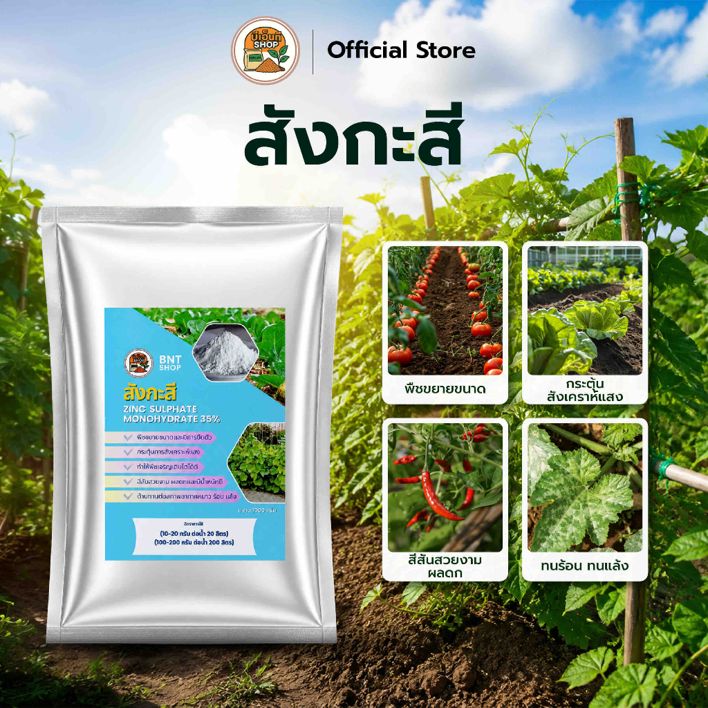 สังกะสี Zinc Sulphate Monohydrate 35%  อาหารเสริมพืช ช่วยพืชขยายขนาดและยืดตัว กระตุ้นการรับแสง พืชเจริญเติบโตทนสภาพอากาศ
