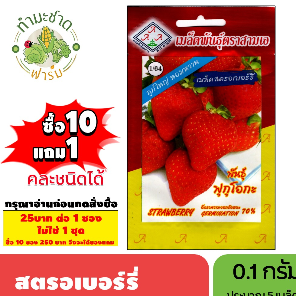 [1ซอง] 3A (ซื้อ10แถม1) เมล็ดพันธุ์ สตรอเบอร์รี่ ขนาด0.1กรัม ประมาณ50เมล็ด STRAWBERRY สตรอเบอรี่ เมล็ดพันธุ์พืช เมล็ดผัก