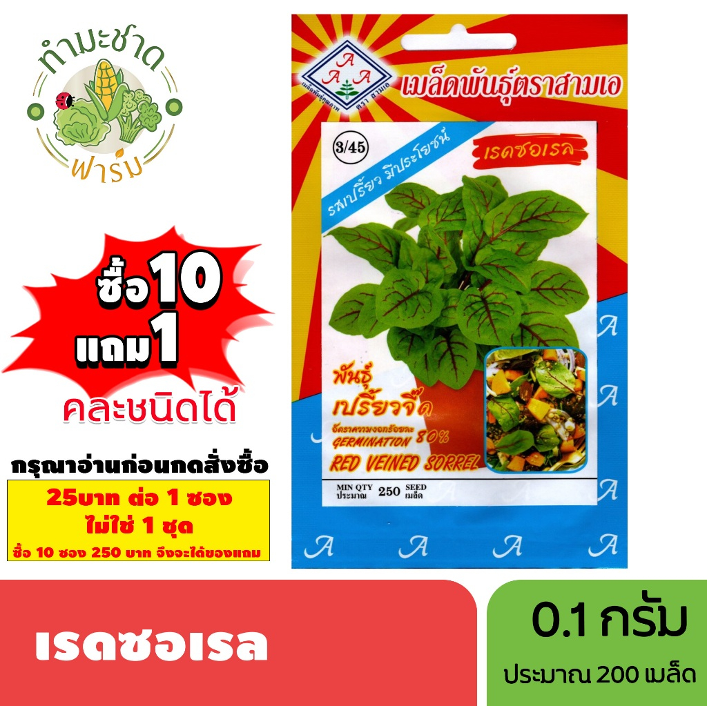 [1ซอง] 3A (ซื้อ10แถม1) เมล็ดพันธุ์ เรดซอเรล ขนาด0.1กรัม ประมาณ250เมล็ด RED VEINED SORREL สลัด เมล็ดพันธุ์พืช เมล็ดผัก ปล