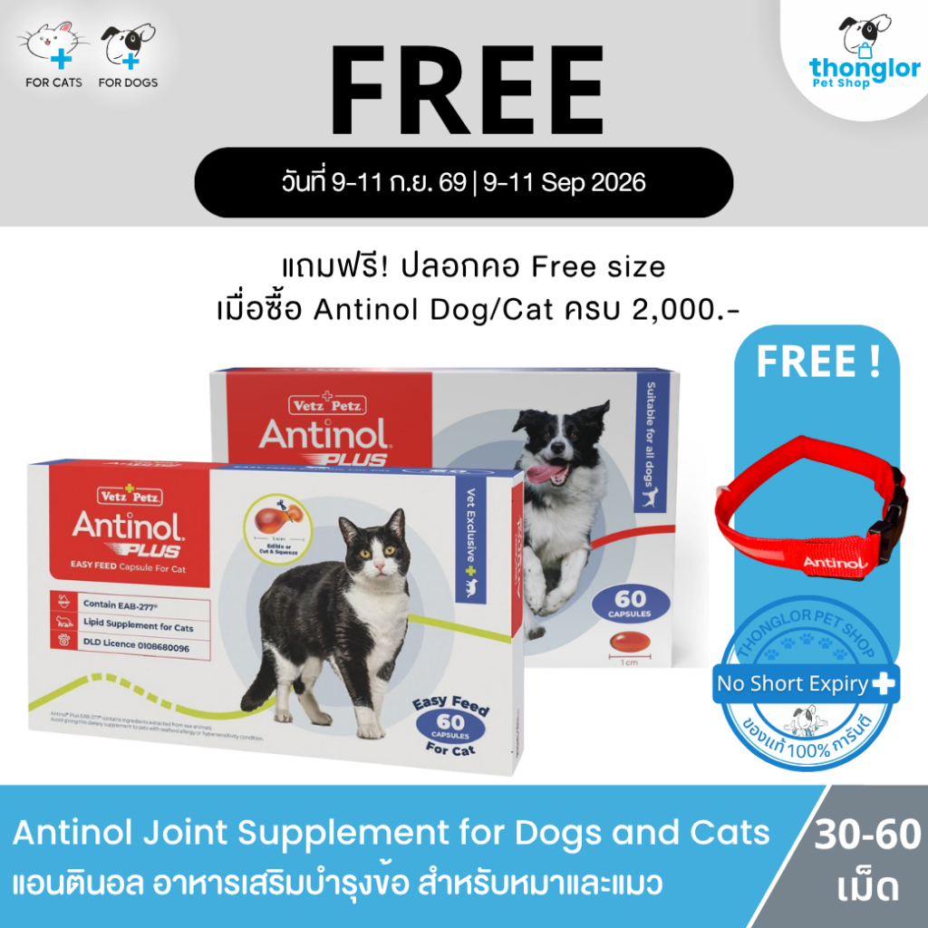 (แถมฟรีปลอกคอ เมื่อซื้อ 2 กล่อง) Vetz Petz Antinol - แอนทินอล อาหารเสริมไขมัน บำรุงข้อ สำหรับสุนัขและแมว