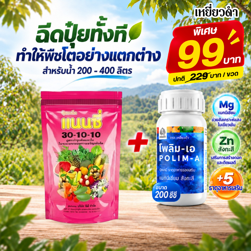 ปุ๋ยเกล็ด แนนซี่ สูตร ปุ๋ย 30-10-10 แตกยอดไว ใบเขียว ฟื้นฟูต้น ปุ๋ย 1 kg.