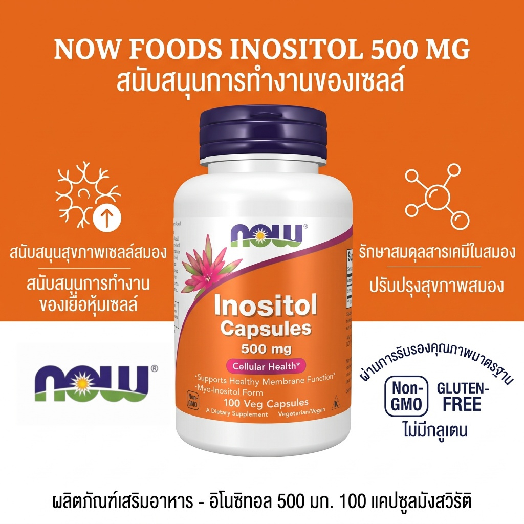 NOW Foods อิโนซิทอล 500 mg 100 แคปซูล ดูแลสุขภาพเซลล์ทั่วร่างกาย เสริมสมดุลฮอร์โมนและอารมณ์ ปลอดสาร GMO เหมาะสำหรับมังสว