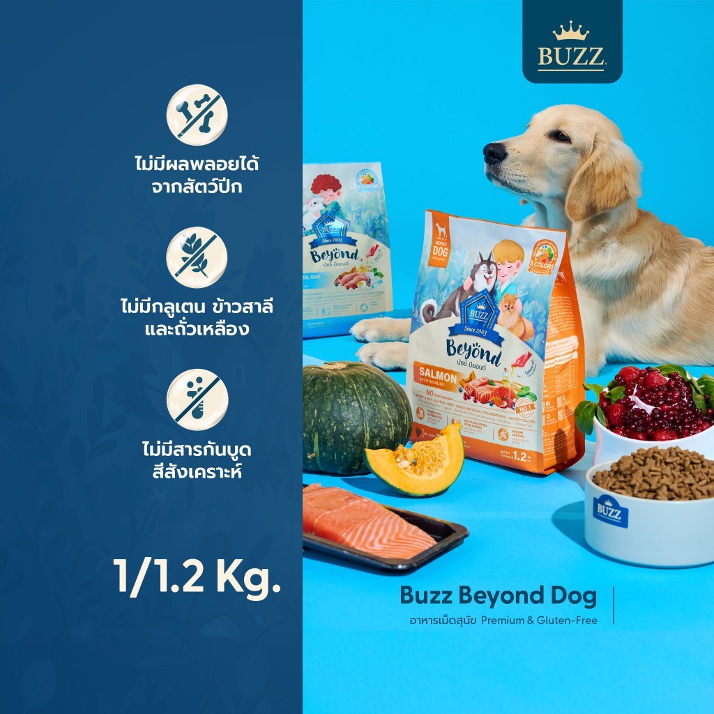 Buzz Beyond طعام كلاب خالٍ من الغلوتين 1 / 1.2 كغ
