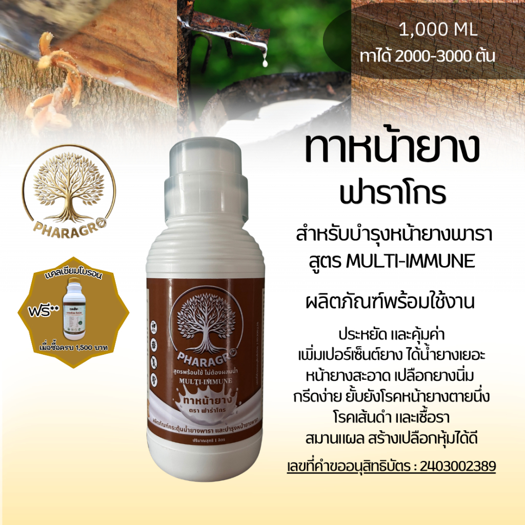 ยาทาหน้ายางฟาราโกร เพิ่มน้ำยาง สร้างเปลือกใหม่เร็ว ไม่มีสารเร่ง ยั้บยั้งเชื้อราต้านทานโรคตายนึ่ง