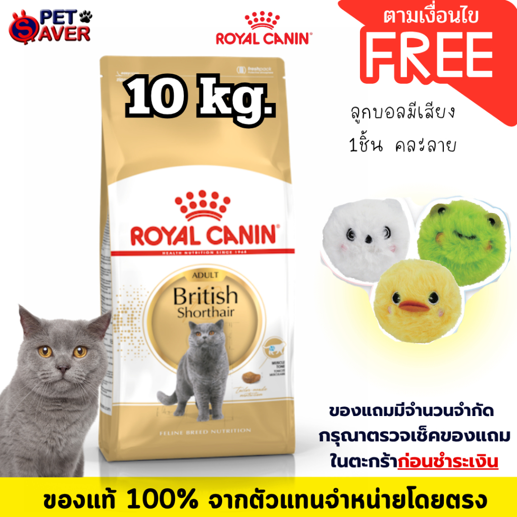 Royal Canin British Short hair adult 10Kg. /kitten British 10kg. แมวโต /ลูก พันธุ์ บริติช ชอร์ตแฮร์