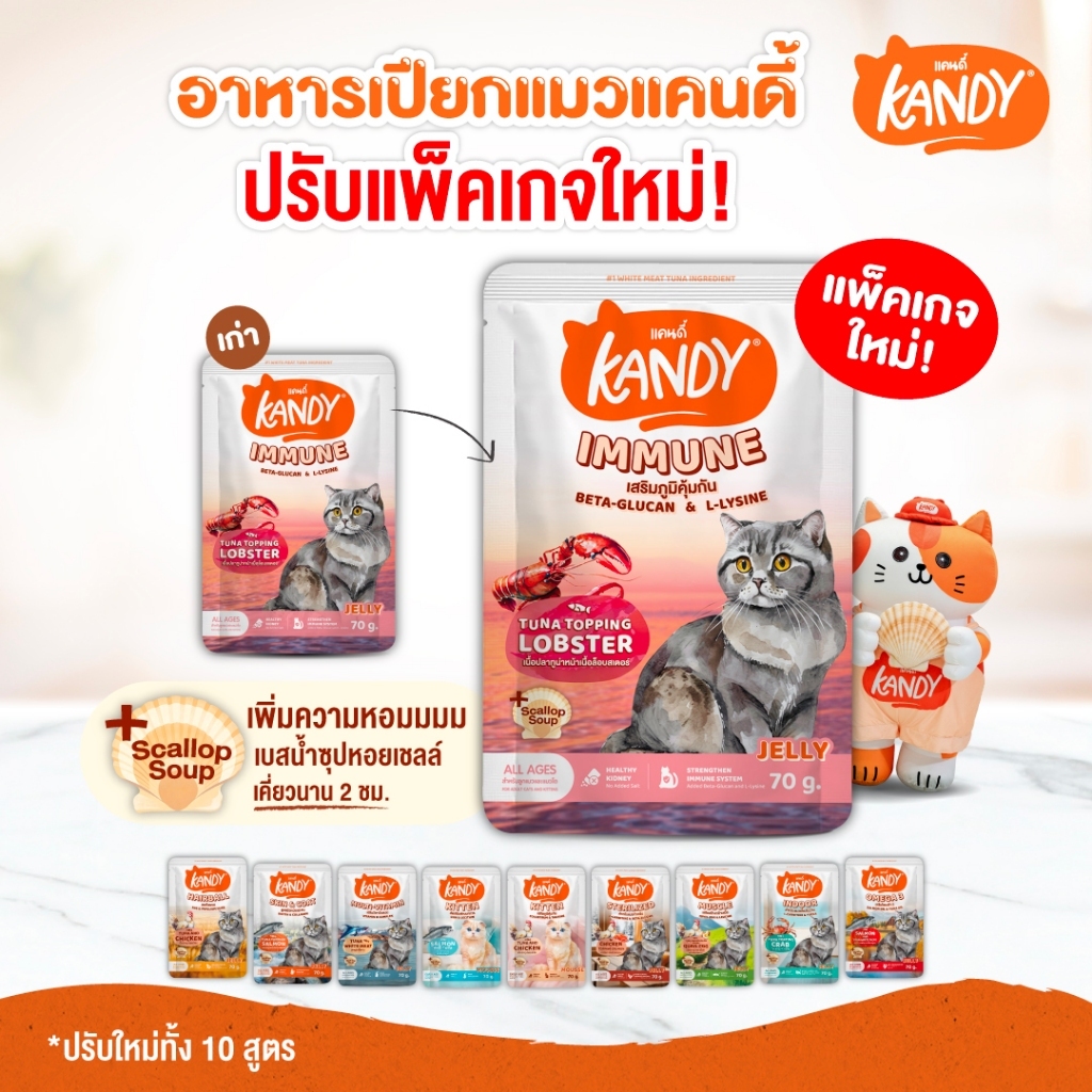 Kandy طعام رطب للقطط 70 غ (أكياس) — صورة 4