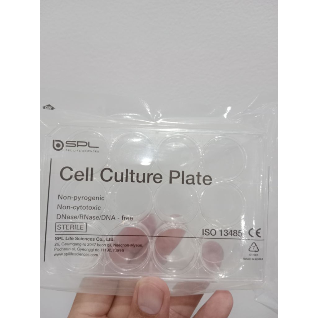12 well cell culture plate ยี่ห้อ SPL