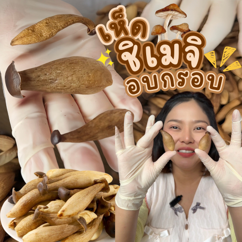 เห็ดชิเมจิ 175g. เห็ดชิเมจิอบกรอบ เห็ดอบกรอบ กรอบฟู ร้านตุ๊กกี้ตัวแสบ