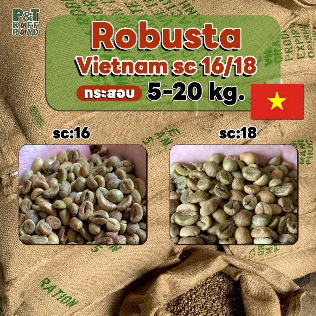 [💥กระสอบ 5 kg💯] สารกาแฟโรบัสต้าเวียดนาม SC16-18 | Dry Process or Natural Process P&T KoffRoad