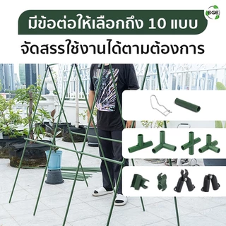 SGE ข้อต่อไม้ค้ำยันต้นไม้ 90 องศา รุ่น GSP-C ประกอบง่าย ใช้ประกอบทำซุ้ม โครงค้ำยันต้นไม้ 5 ชิ้น
