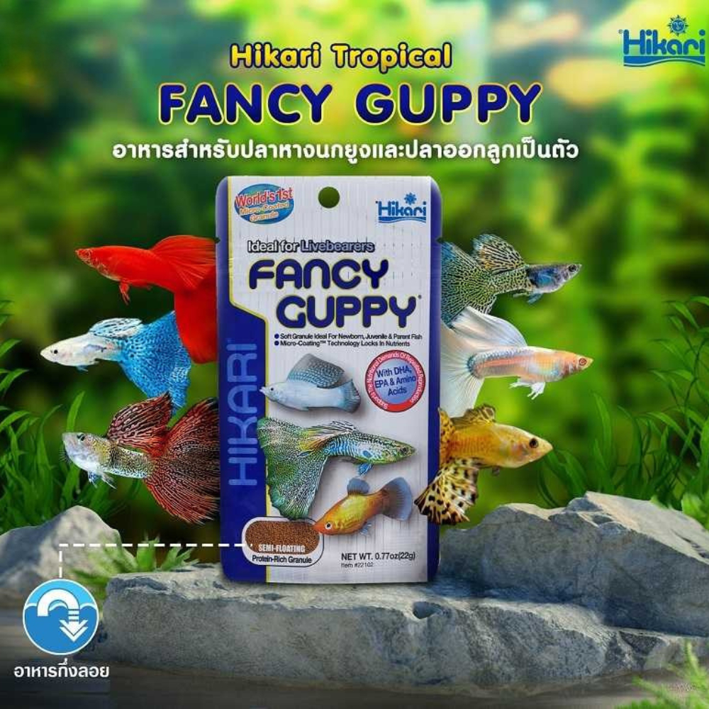 Hikari Fancy Guppy อาหารปลา ฮิคาริ สำหรับปลาหางนกยูง อุดมด้วยโปรตีน เม็ดลอยกลางน้ำ (22g)