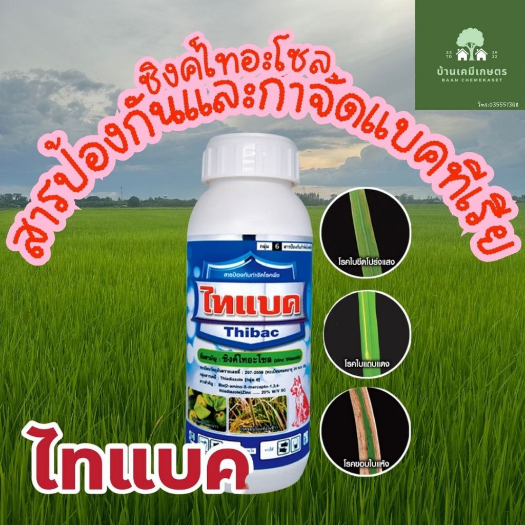 ไทแบค ซิงค์ไทอะโซล สารป้องกันและกำจัดโรคแบคทีเรีย ขนาด 500ml