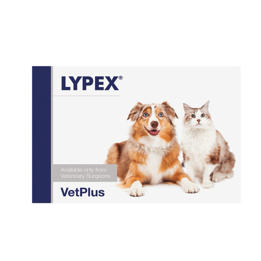 VetPlus LYPEX ผลิตภัณฑ์เสริมอาหาร ช่วยเสริมระบบย่อยอาหารสำหรับสุนัขและแมว (ฉลากเกาหลี)