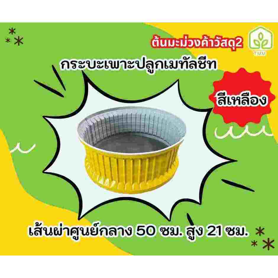 กระบะเพาะปลูกเมทัลชีท ทรงกลมมีหลายสีให้เลือก ขนาด 50 ซม. x 21 ซม. แถมฟรียางกันบาดและน็อต