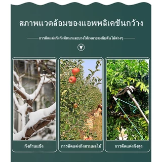 กรรไกรตัดกิ่งไม้สูง ตัดแต่งผลไม้ ตัดแต่งสวน ตัดแต่งกิ่งไม้ ประหยัดเวลาและแรงมีเชือกรูด ไม่มีเสา