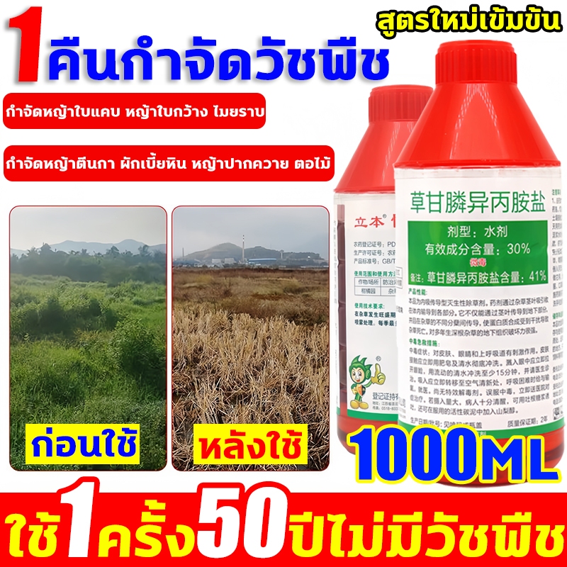มีผลใน1วัน ยาฆ่าต้นไม้ใหญ่ 1000MLเข้มข้นมาก สารกําจัดกอไผ่ รากเน่ารากไม่ขึ้นอีก ยาฆ่าหญ้า ยาฆ่ากอไผ่ ยาฆ่าตอไม้ ยาฆ่าไผ่