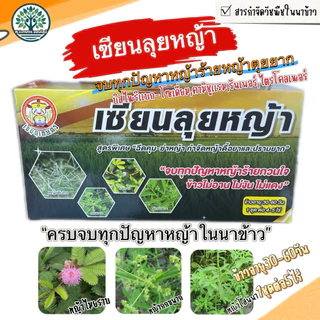 เซียนลุยหญ้า(สารกำจัดวัชพืชในนาข้าว)หญ้าเเก่ กก 1ชุดประกอบด้วย สารบิสไพริแบกกโซเดียม,สารคามิซูเเรม,รันเนอร์,ไตรโคลเพอร์