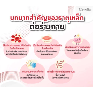 เซตดูแลเลือด โฟลิค ไลโปโซมอล ธาตุเหล็ก กิฟารีน คู่นี้ส่งผลดีต่อเม็ดเลือดแดง โฟลิก วิตามินบี