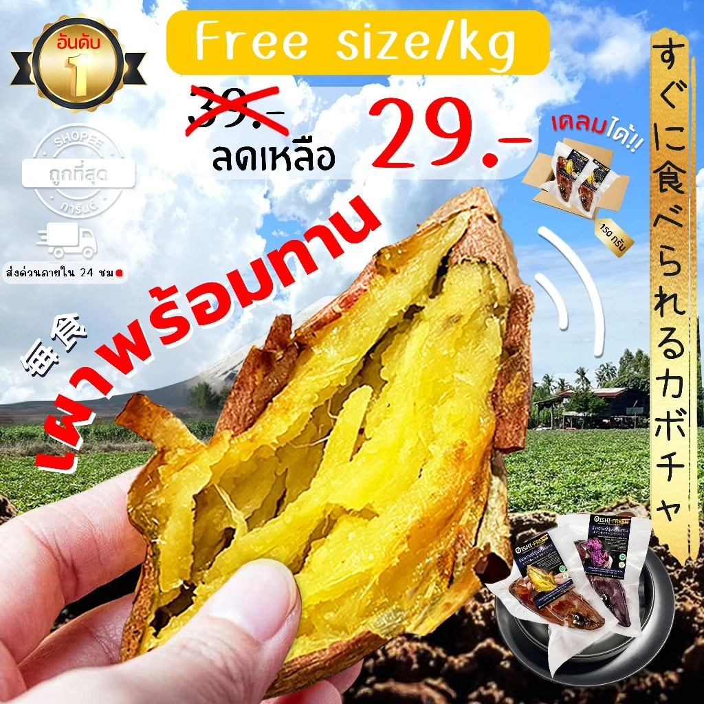 Oishi-Fresh รวมสายพันธุ์ มันหวานญี่ปุ่น เผาพร้อมทาน🍠เนื้อเหลือง นุ่ม หอม ฉ่ำ หวานตามธรรมชาติ ขนาด 50-120 ก. ส่ง24ชม.